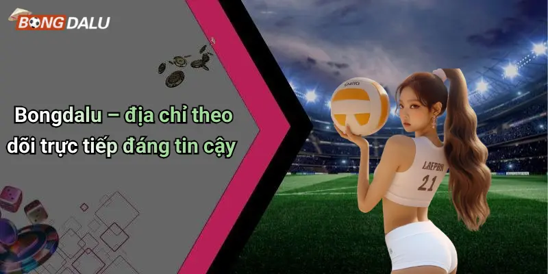 Bongdalu – địa chỉ theo dõi trực tiếp đáng tin cậy