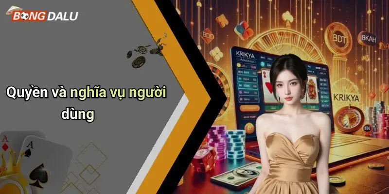 Quyền và nghĩa vụ người dùng