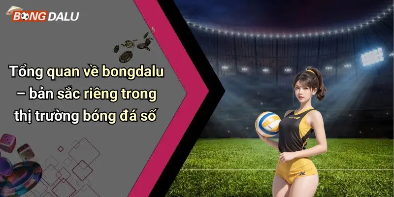 Tổng quan về bongdalu – bản sắc riêng trong thị trường bóng đá số