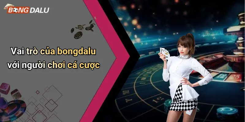 Vai trò của bongdalu với người chơi cá cược