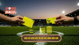 Mẹo cá cược kèo tài xỉu thẻ vàng hiệu quả