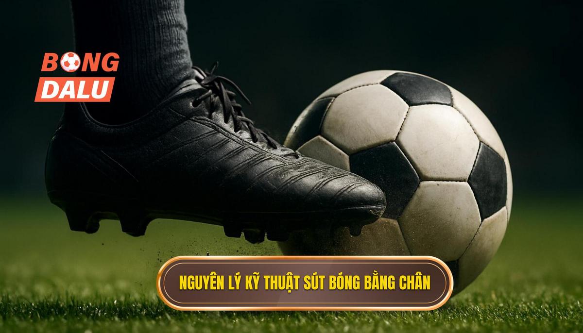 Nguyên Lý Hoạt Động Của Kỹ Thuật Sút Bóng Bằng Đầu Ngón Chân