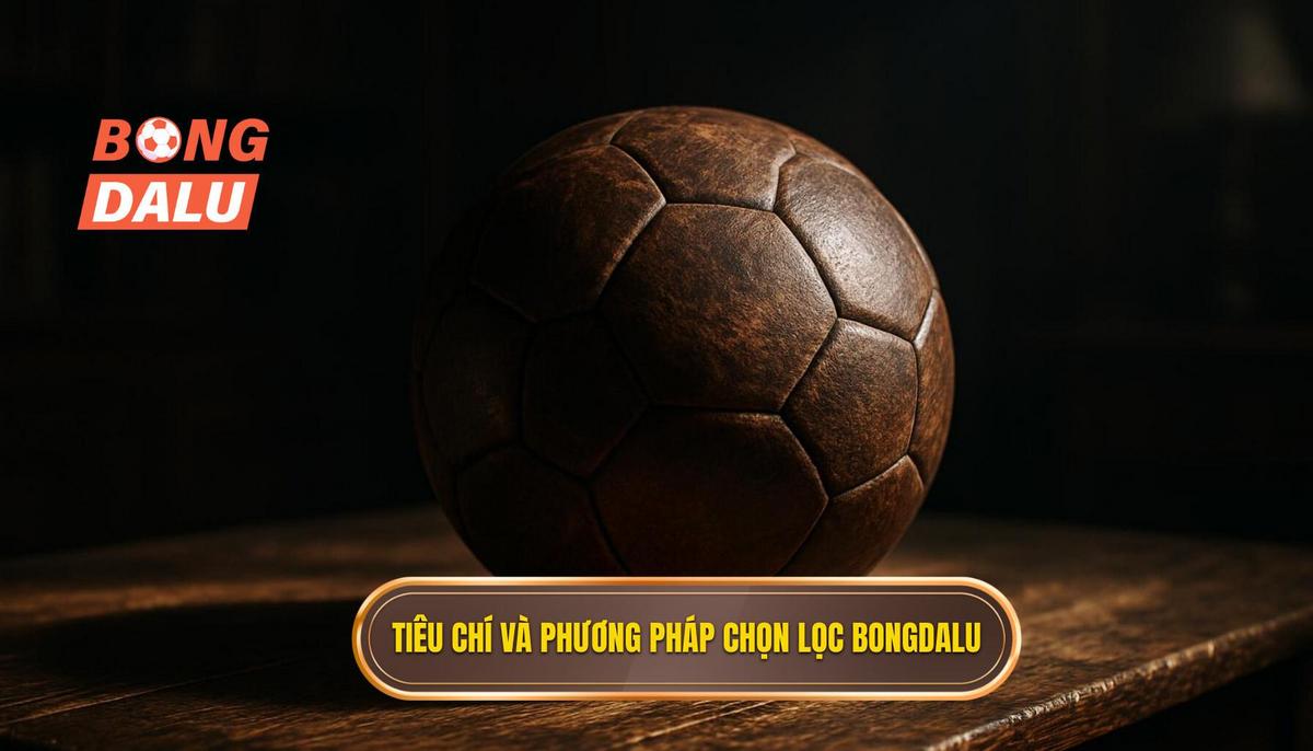 Tiêu chí đánh giá và phương pháp chọn lọc của BONGDALU