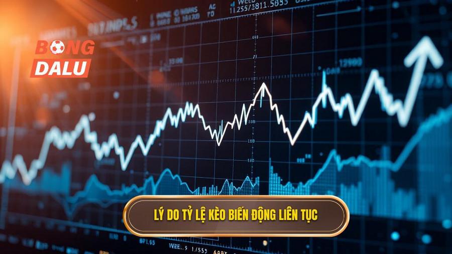 Lý do tỷ lệ kèo biến động liên tục