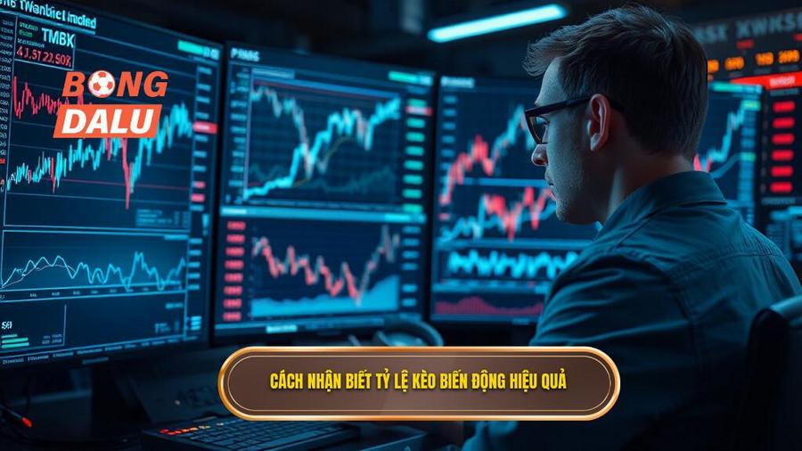 Cách nhận biết tỷ lệ kèo biến động hiệu quả
