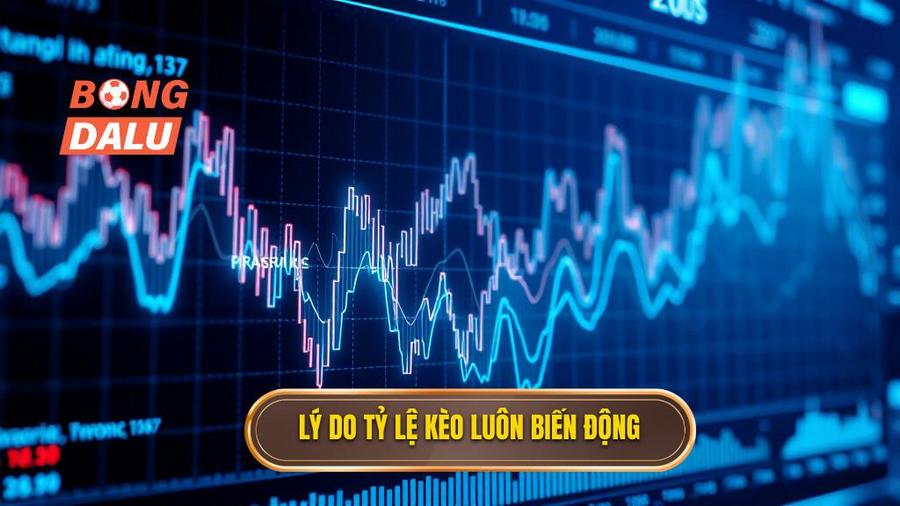 Lý do tỷ lệ kèo luôn biến động