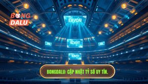 Bongdalu Cập nhật tỷ số uy tín.