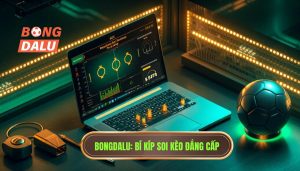 Kinh nghiệm soi kèo cho người mới - Bí kíp thắng lớn từ BONGDALU